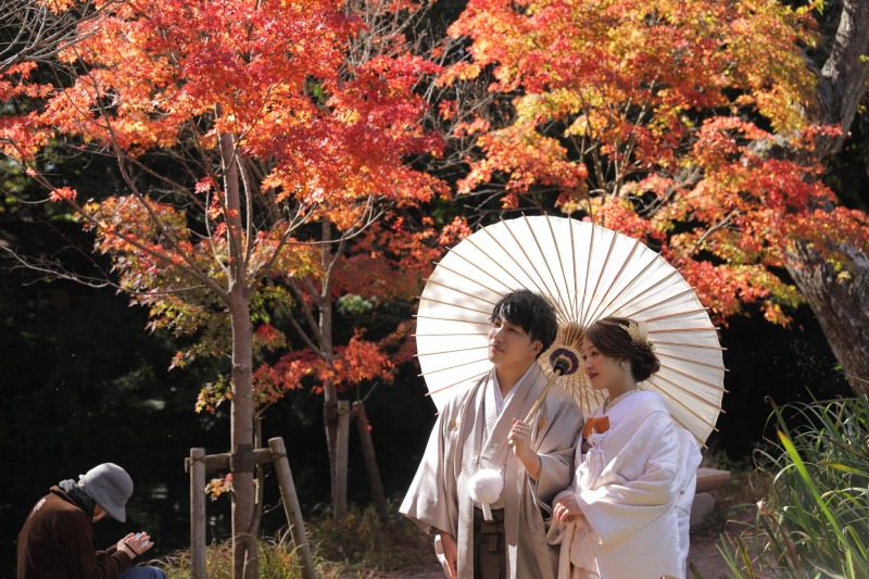 紅葉だより