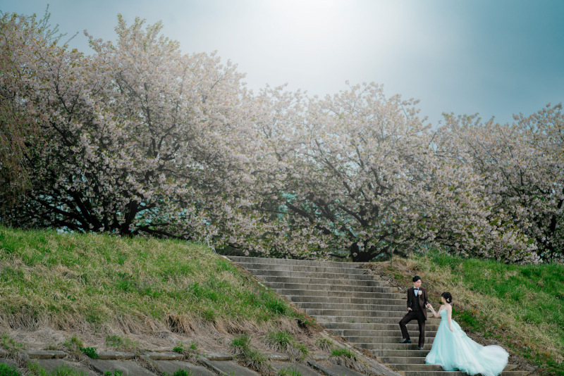春×桜