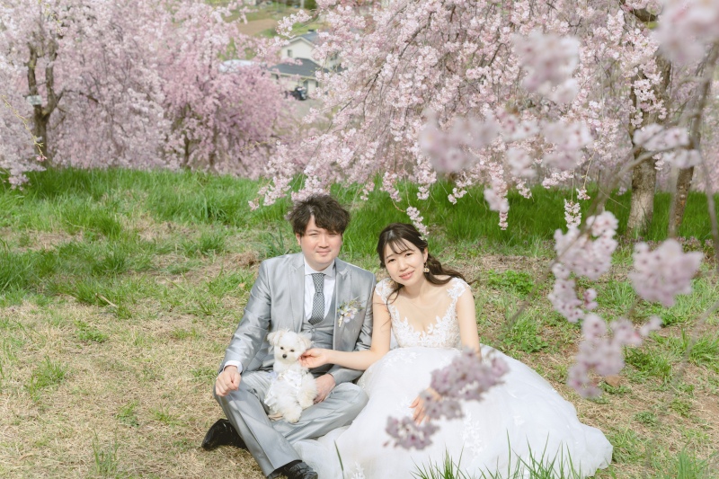 軽井沢桜ロケーション撮影【飯綱山公園】