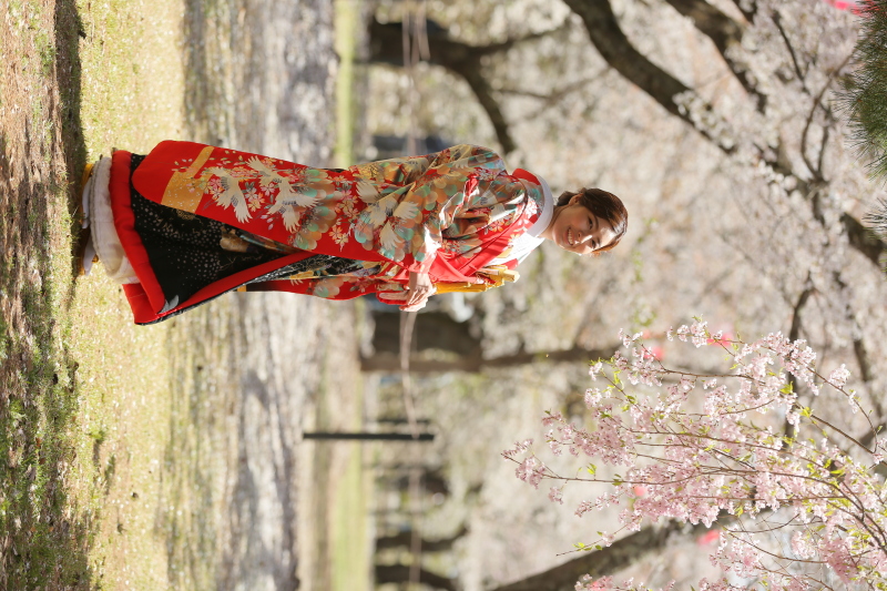 桜予約始まってます!