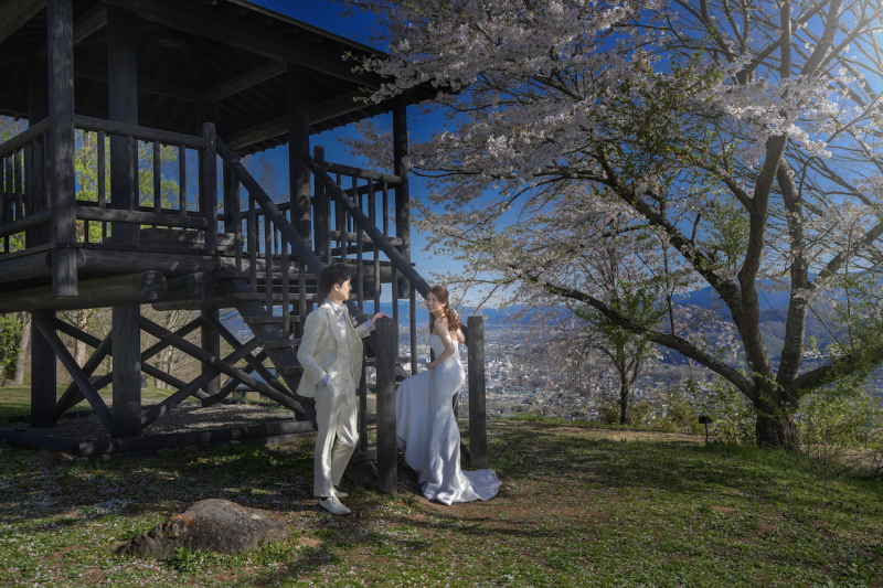 飯綱山公園が桜シーズンに選ばれる理由（今年の見頃予想）