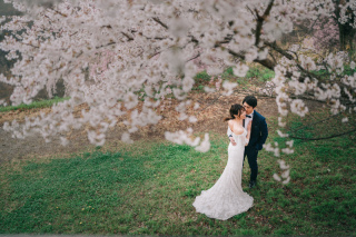 桜シーズンご予約受付中！