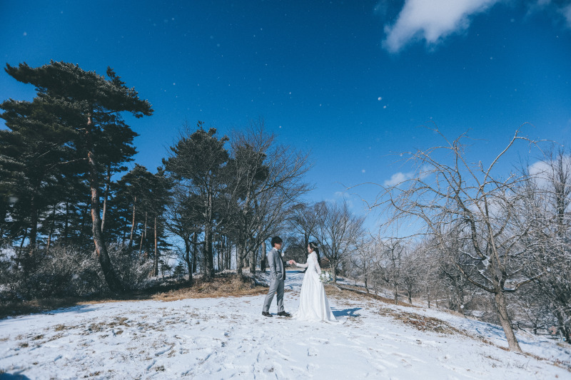 軽井沢の綺麗な四季のご紹介