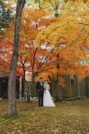なぜ軽井沢の紅葉はこんなに綺麗？秋の軽井沢観光が選ばれる理由