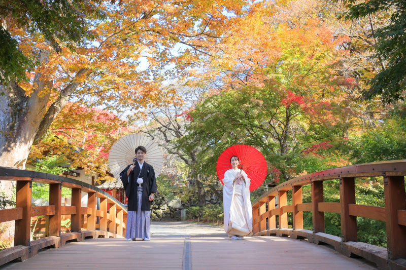 紅葉シーズンの予約はお早めに!【小諸懐古園】