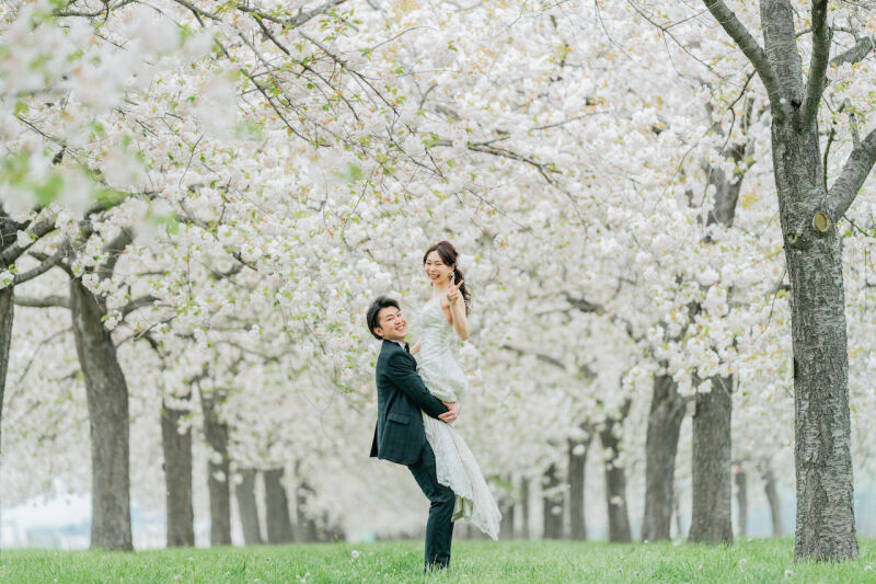 【桜と菜の花】の隠れ穴場スポット洋装ver.