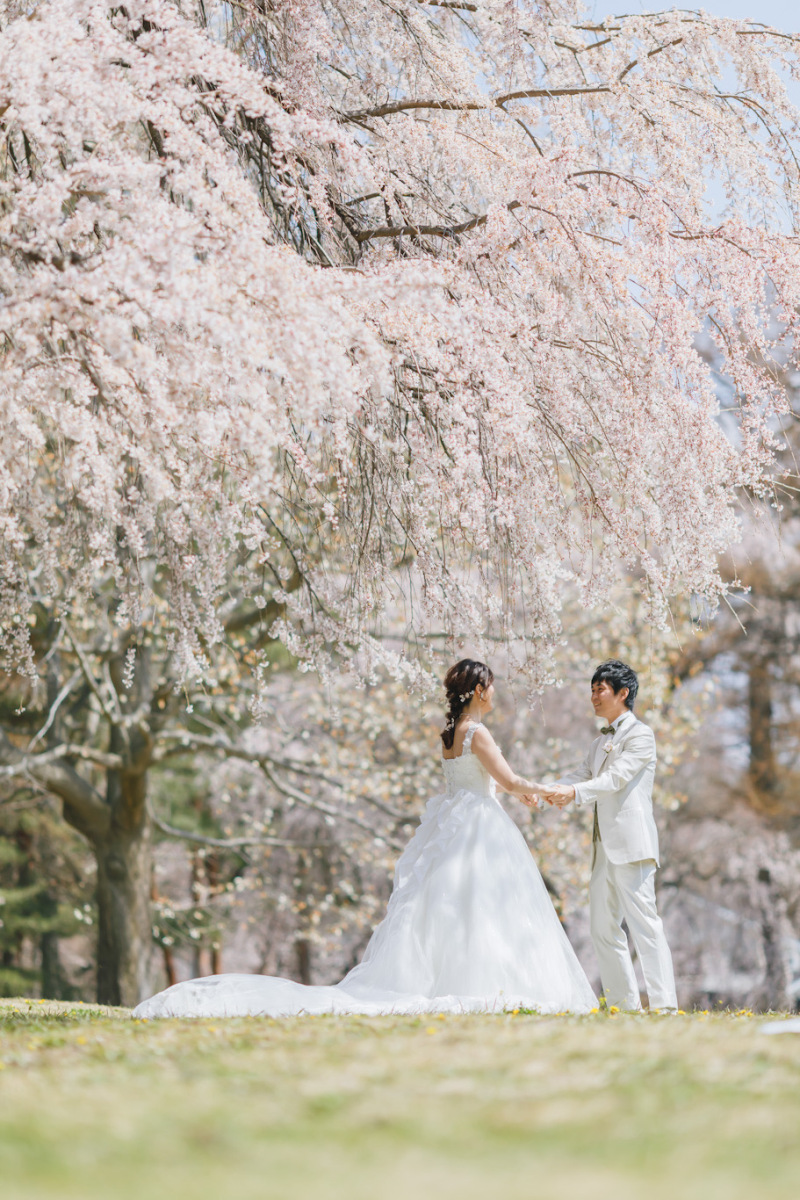軽井沢桜シーズン予約受付中