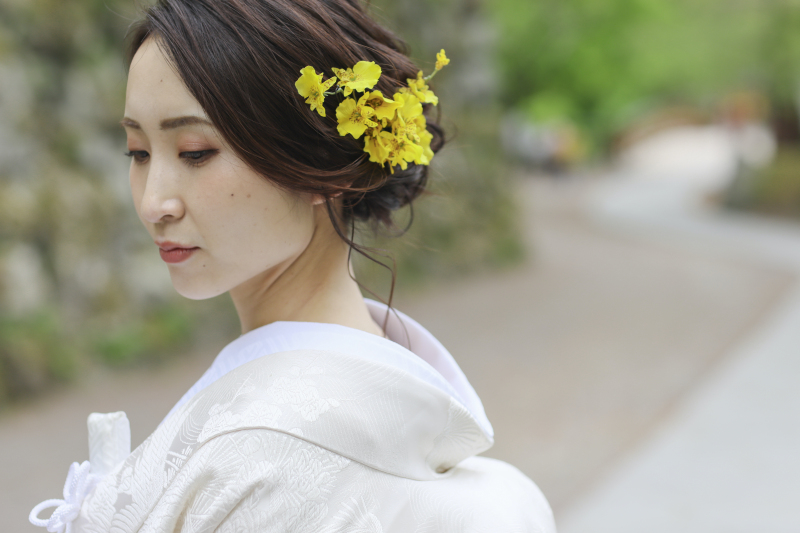 桜×緑