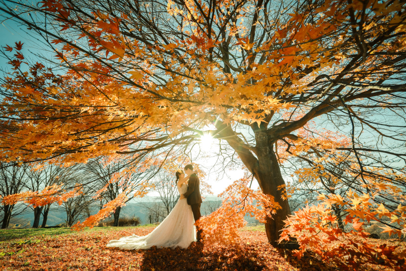 【秋のイチオシスポット！紅葉ロケ地ご紹介☆】
