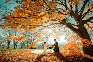 紅葉!!軽井沢のスタッフ一押し穴場スポット【飯綱山公園】
