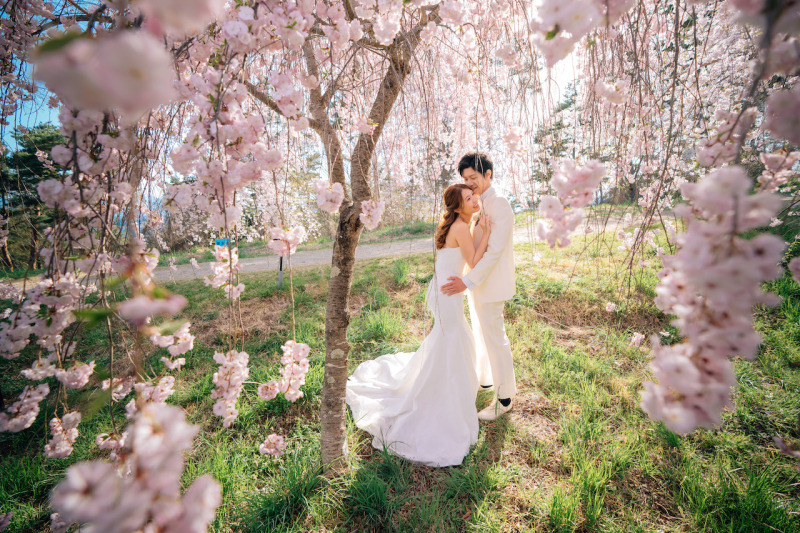 桜の見頃・スポット別紹介！
