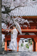 春のフォトウェディング