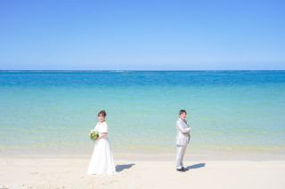 カーギープラン