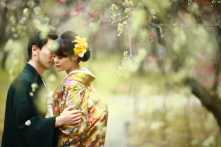 日本全部を使ってロケ撮影を企画