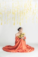 ルミナスのデザインアルバムについて解説