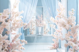 Instagramも随時更新中!