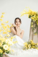 期間限定キャンペーン