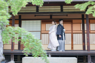 新緑の美観地区♪