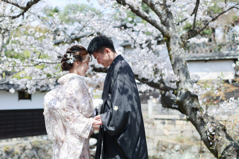 春は桜がきれいです♪