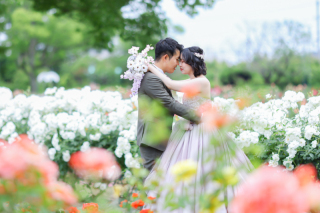 お花畑での撮影はいかがでしょうか♩
