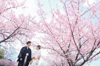 河津桜フォト♩