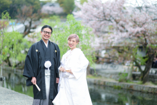 美観地区ロケーション&times;桜