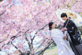 "河津桜"での撮影はいかがでしょうか♩