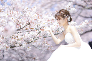 桜シーズンです♪