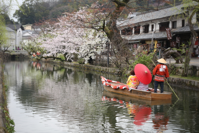 大人気!!桜ロケーション(*^-^*)