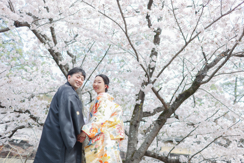 美観地区　桜開花まであと少し☆