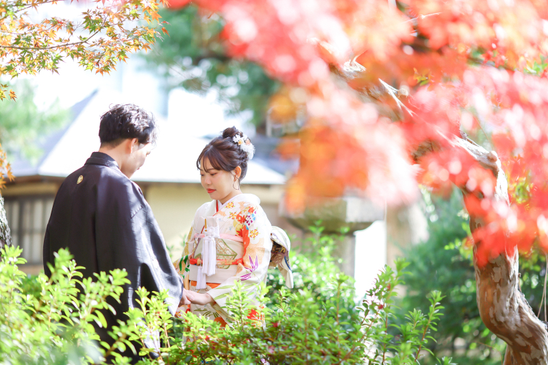 紅葉撮影まだ間に合います＊*