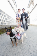 わんちゃん・ねこちゃんと一緒に♡