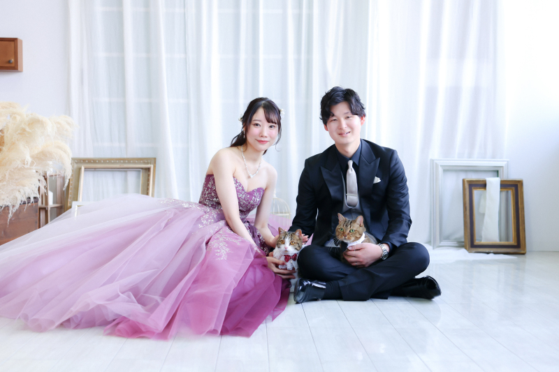 ネコちゃんとも撮影が出来ます!