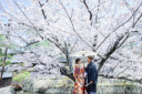 桜シーズの撮影はいかがでしょうか?♩