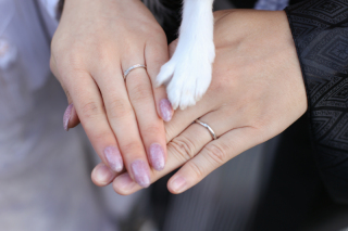 ペットとロケ撮影♪