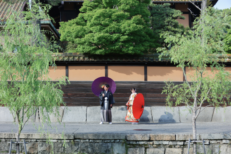 新緑のロケ撮影はいかがですか＊