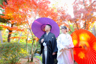 紅葉撮影ご予約いただいております！！！
