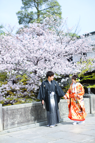 4月に入りました♩春爛漫♡桜ロケ