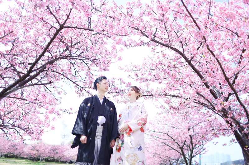 桜ロケーションご予約受付中✨