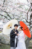 まだ間に合います☆桜ロケーション撮影はいかがでしょうか?♩