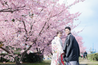 河津桜撮影♪