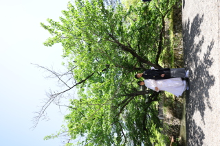 まだまだ新緑撮影できます(^^♪