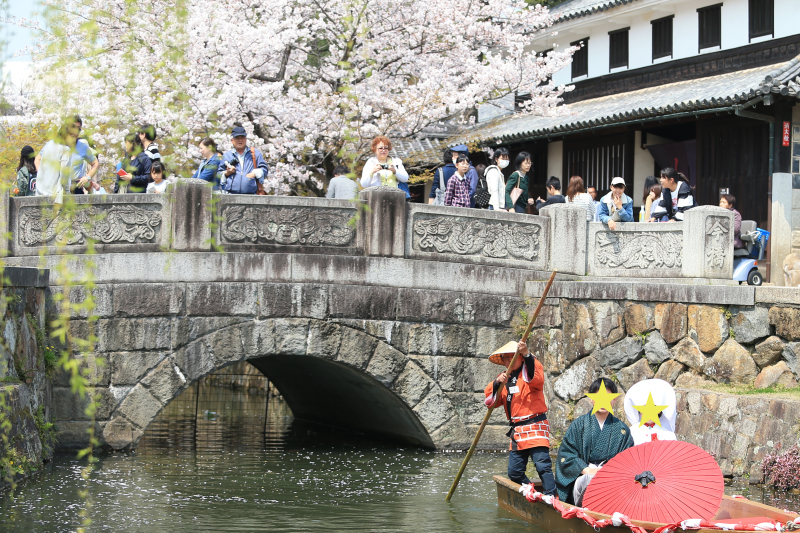 倉敷で有名な「河津桜プラン」登場☆