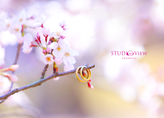 本日も撮影いってまいります！！