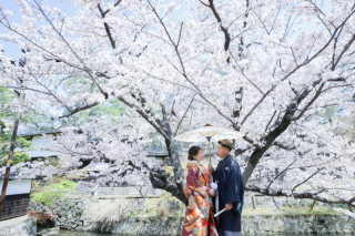 桜ロケーションまだ間に合います◎