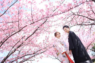 桜ロケーションご予約受付中✨