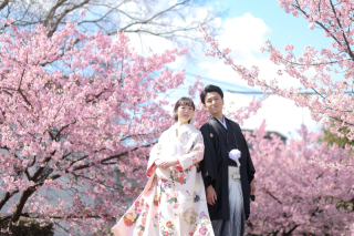 2024年 撮れたて河津桜ロケのご紹介 part.2