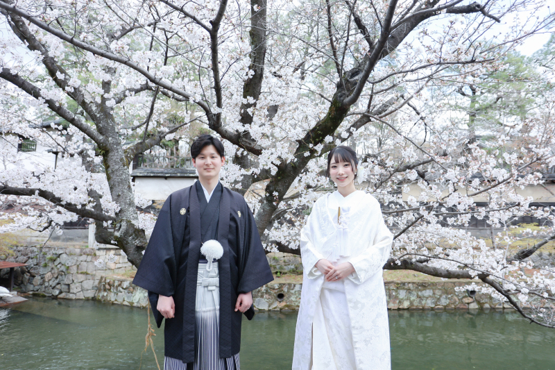 春は桜がきれいです♪