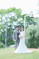 新緑のオリーブ園♪