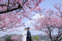 4年に1度のうるう年*